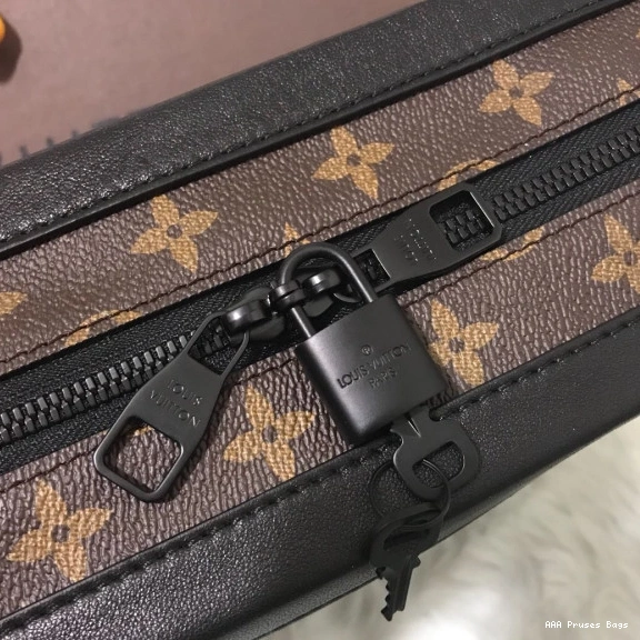 AAA Pruses Bags VUITTON LOUIS BOX 0710